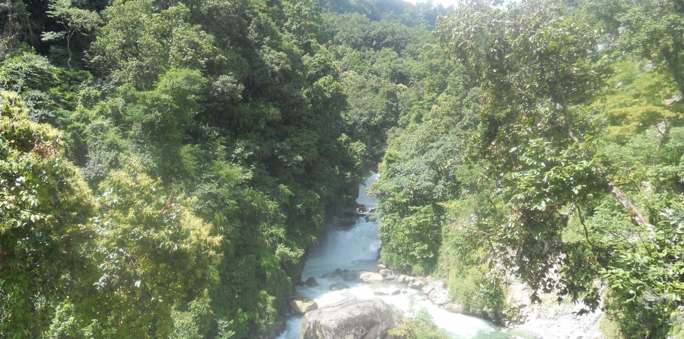 DSCN0451